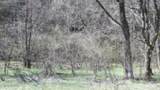 Lot 1 Baugh Hollow Rd - Photo 23