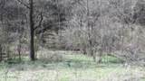 Lot 1 Baugh Hollow Rd - Photo 24