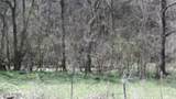 Lot 1 Baugh Hollow Rd - Photo 25
