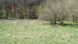 Lot 1 Baugh Hollow Rd - Photo 27