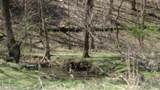 Lot 1 Baugh Hollow Rd - Photo 29