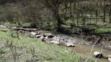 Lot 1 Baugh Hollow Rd - Photo 3