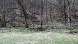 Lot 1 Baugh Hollow Rd - Photo 30