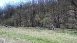 Lot 1 Baugh Hollow Rd - Photo 31