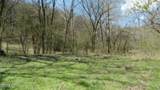 Lot 1 Baugh Hollow Rd - Photo 32