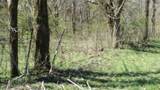 Lot 1 Baugh Hollow Rd - Photo 36