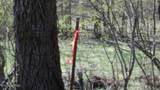Lot 1 Baugh Hollow Rd - Photo 38