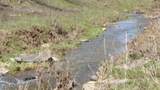 Lot 1 Baugh Hollow Rd - Photo 5