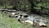 Lot 1 Baugh Hollow Rd - Photo 7