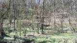 Lot 1 Baugh Hollow Rd - Photo 8
