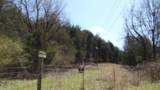 Lot 6 Baugh Hollow Rd - Photo 10