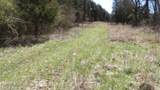 Lot 6 Baugh Hollow Rd - Photo 11