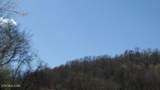 Lot 6 Baugh Hollow Rd - Photo 17