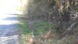 Lot 6 Baugh Hollow Rd - Photo 18