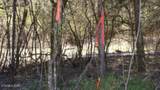 Lot 6 Baugh Hollow Rd - Photo 3