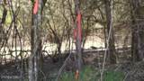 Lot 6 Baugh Hollow Rd - Photo 4