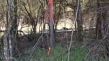 Lot 6 Baugh Hollow Rd - Photo 5