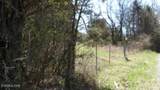 Lot 6 Baugh Hollow Rd - Photo 6