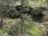 Lot 2 Don Conatser Loop - Photo 12