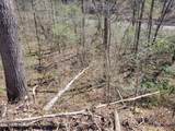 Lot 25 Alpine Drive - Photo 2