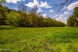 2 Cherohala Skyway - Photo 48