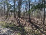 103 Amherst Dr - Photo 3