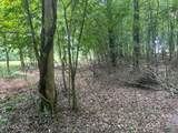  Thief Neck View Drive - Photo 42