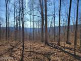 1A Junaluska Drive - Photo 1