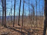 1A Junaluska Drive - Photo 15