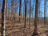 1A Junaluska Drive - Photo 16