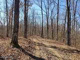 1A Junaluska Drive - Photo 2