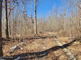 1A Junaluska Drive - Photo 3