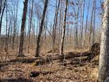 1A Junaluska Drive - Photo 4