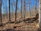 1A Junaluska Drive - Photo 7