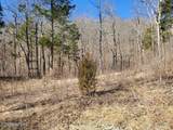 1A Junaluska Drive - Photo 8