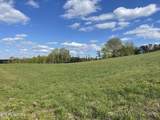 Lot 3 Laura Boling Loop Rd - Photo 2