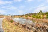 147 Highland Reserve Way - Photo 19