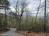 3.93 Acres Green Forest Rd - Photo 15
