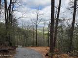 3.93 Acres Green Forest Rd - Photo 16