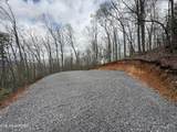 3.93 Acres Green Forest Rd - Photo 17