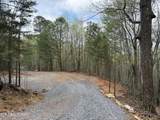 3.93 Acres Green Forest Rd - Photo 20