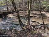 255 & 329 Copperhead Rd - Photo 10
