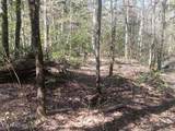 255 & 329 Copperhead Rd - Photo 8