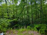  Black Gum Gap Rd - Photo 3