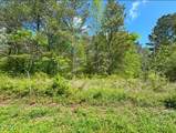 223 Rivers Edge Lane - Photo 12