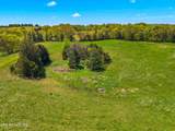 Tract 0 Mt Horeb Rd - Photo 16