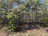 Lot 2 Timber Trail - Photo 4