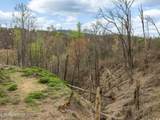  Long Branch Rd - Photo 11