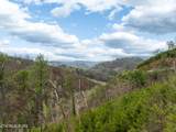  Long Branch Rd - Photo 12