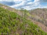  Long Branch Rd - Photo 9